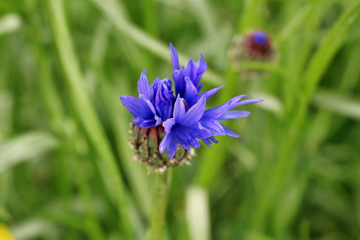 2014_05_30_00044283p_Bildgr��e �ndern