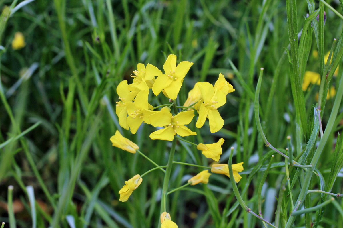 2014_05_30_00044291p_Bildgr��e �ndern