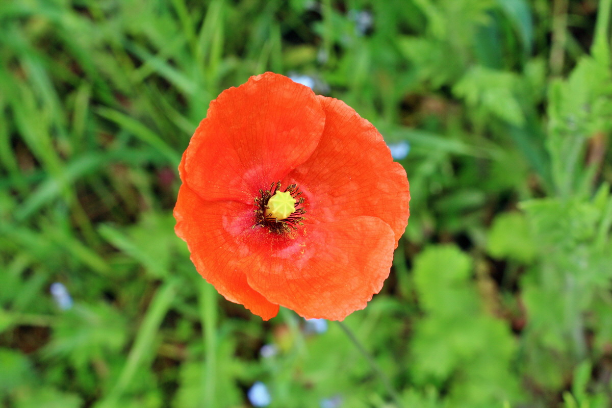 2014_05_30_00044295p_Bildgr��e �ndern