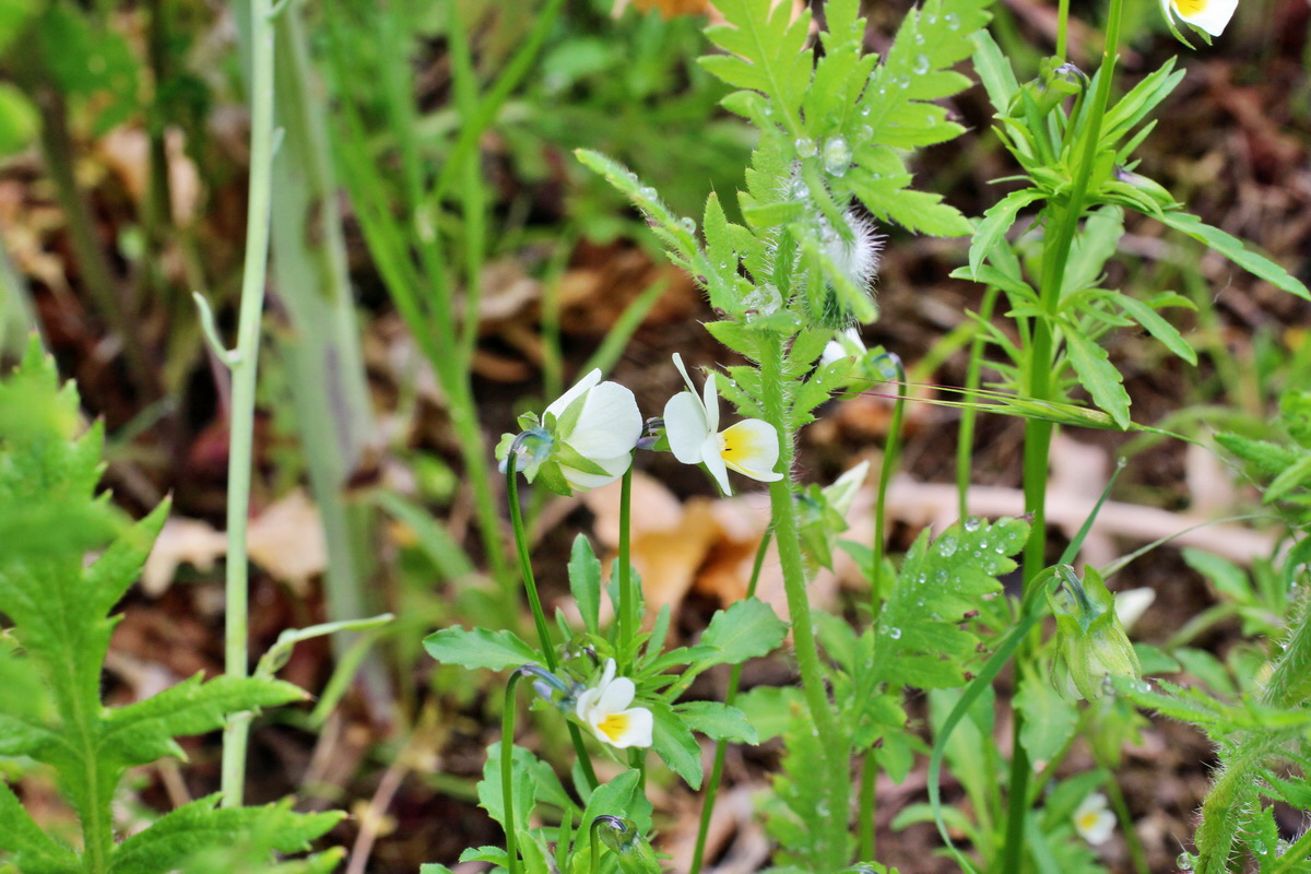 2014_05_30_00044308p_Bildgr��e �ndern