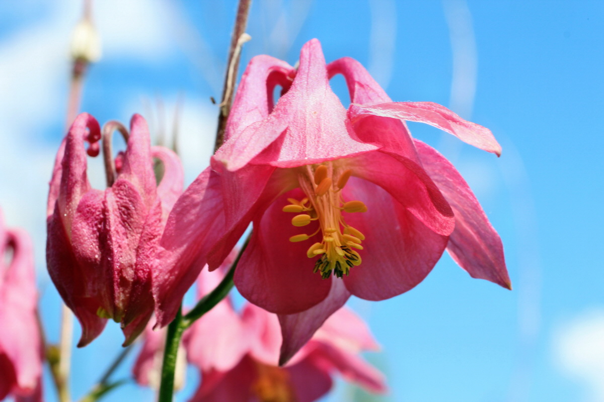 2014_05_30_00044322p_Bildgr��e �ndern