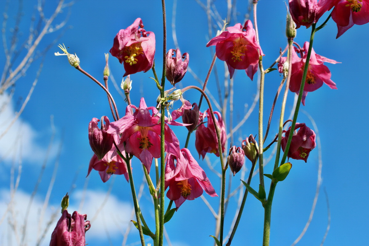 2014_05_30_00044324p_Bildgr��e �ndern