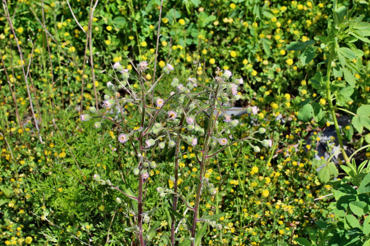 2014_05_30_00044329p_Bildgr��e �ndern