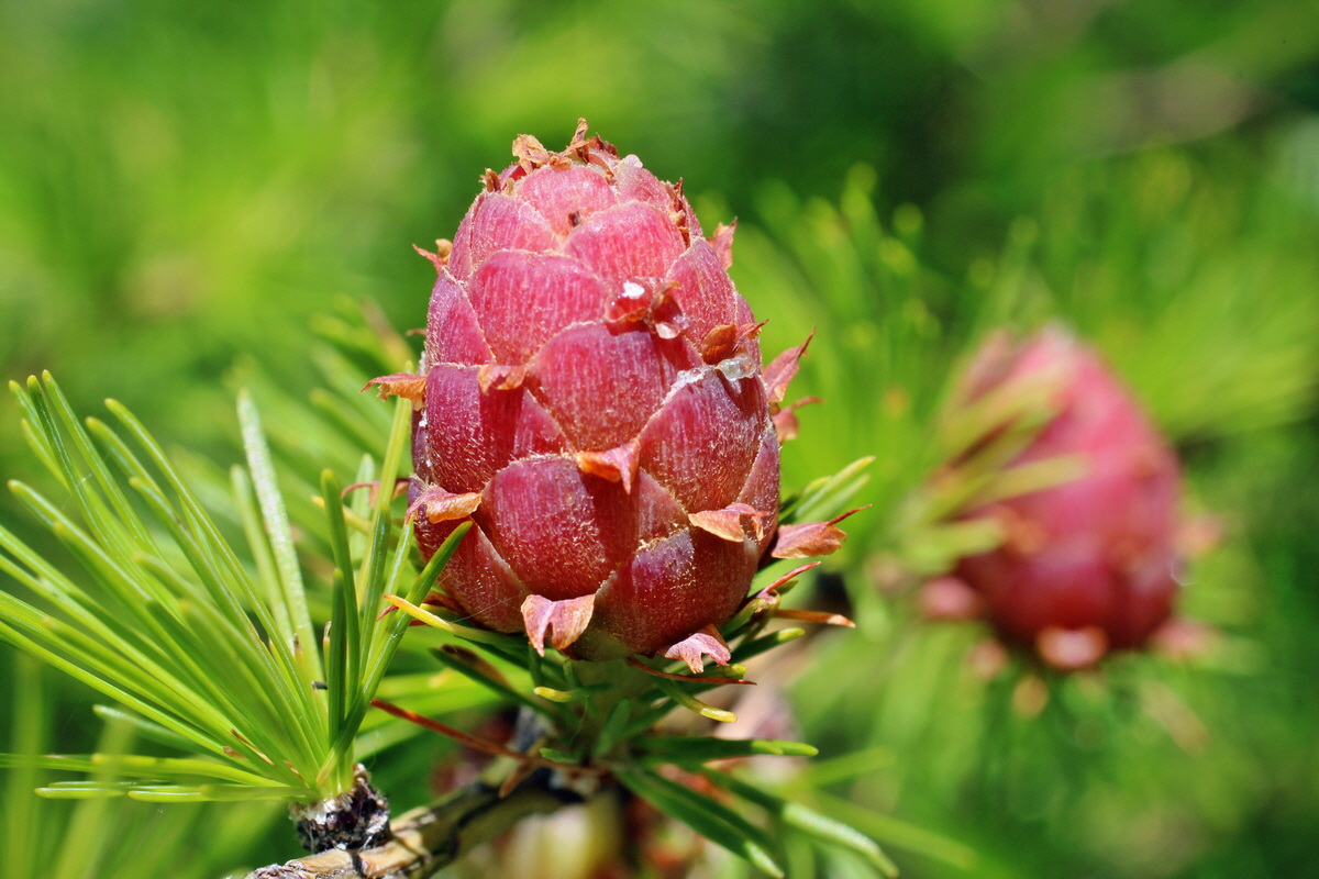 2014_05_30_00044342p_Bildgr��e �ndern