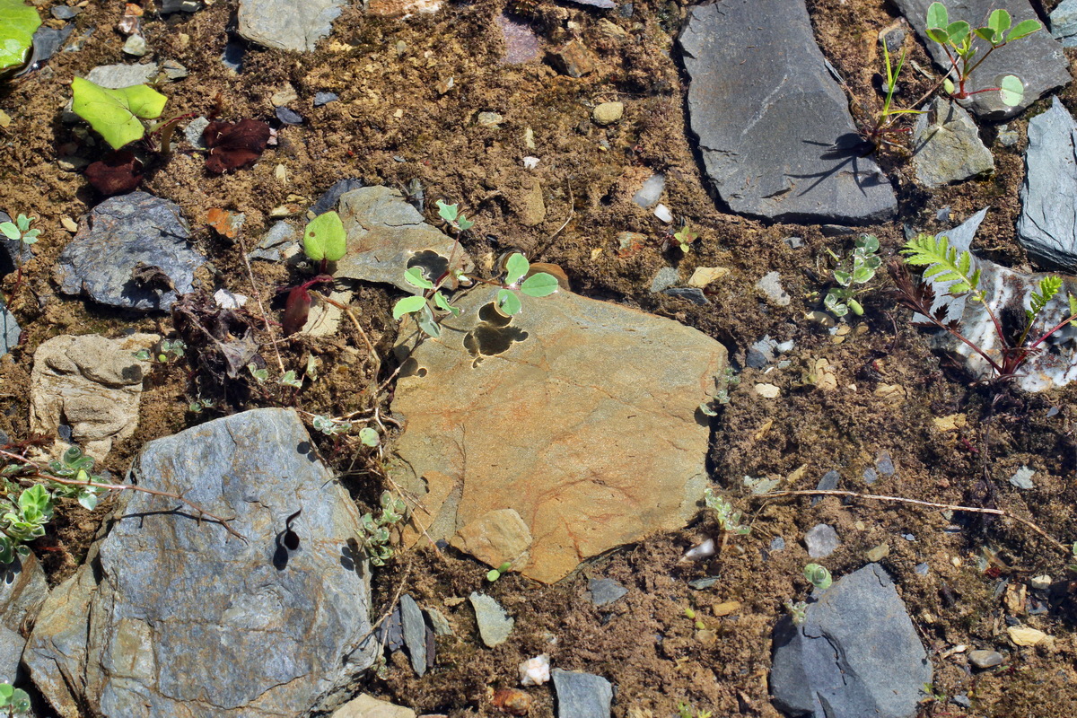 2014_05_30_00044357p_Bildgr��e �ndern