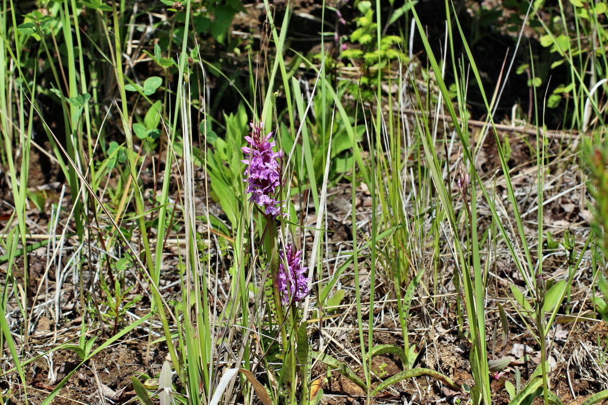 2014_05_30_00044363p_Bildgr��e �ndern