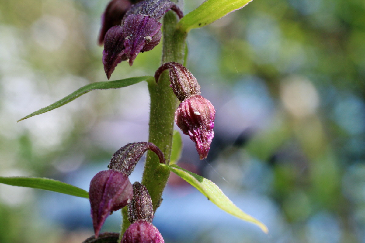 2014_05_30_00044379p_Bildgr��e �ndern