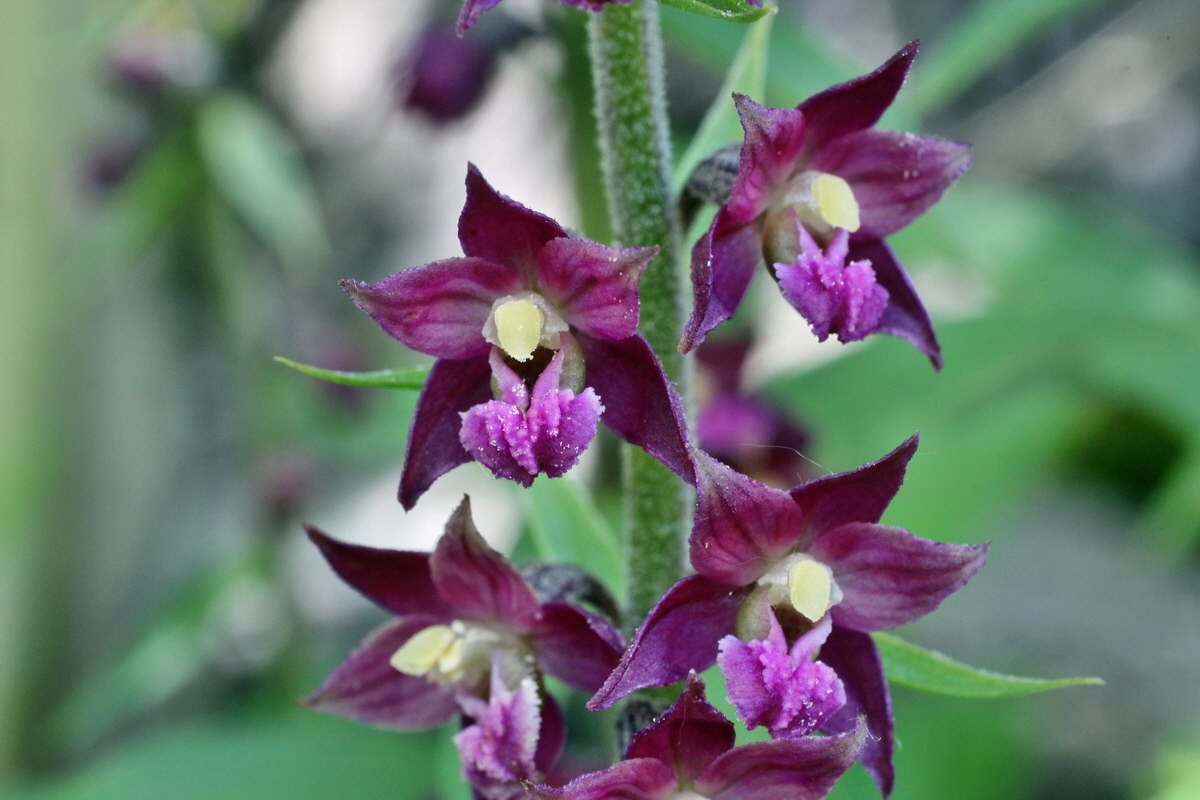 2014_05_30_00044391p_Bildgr��e �ndern