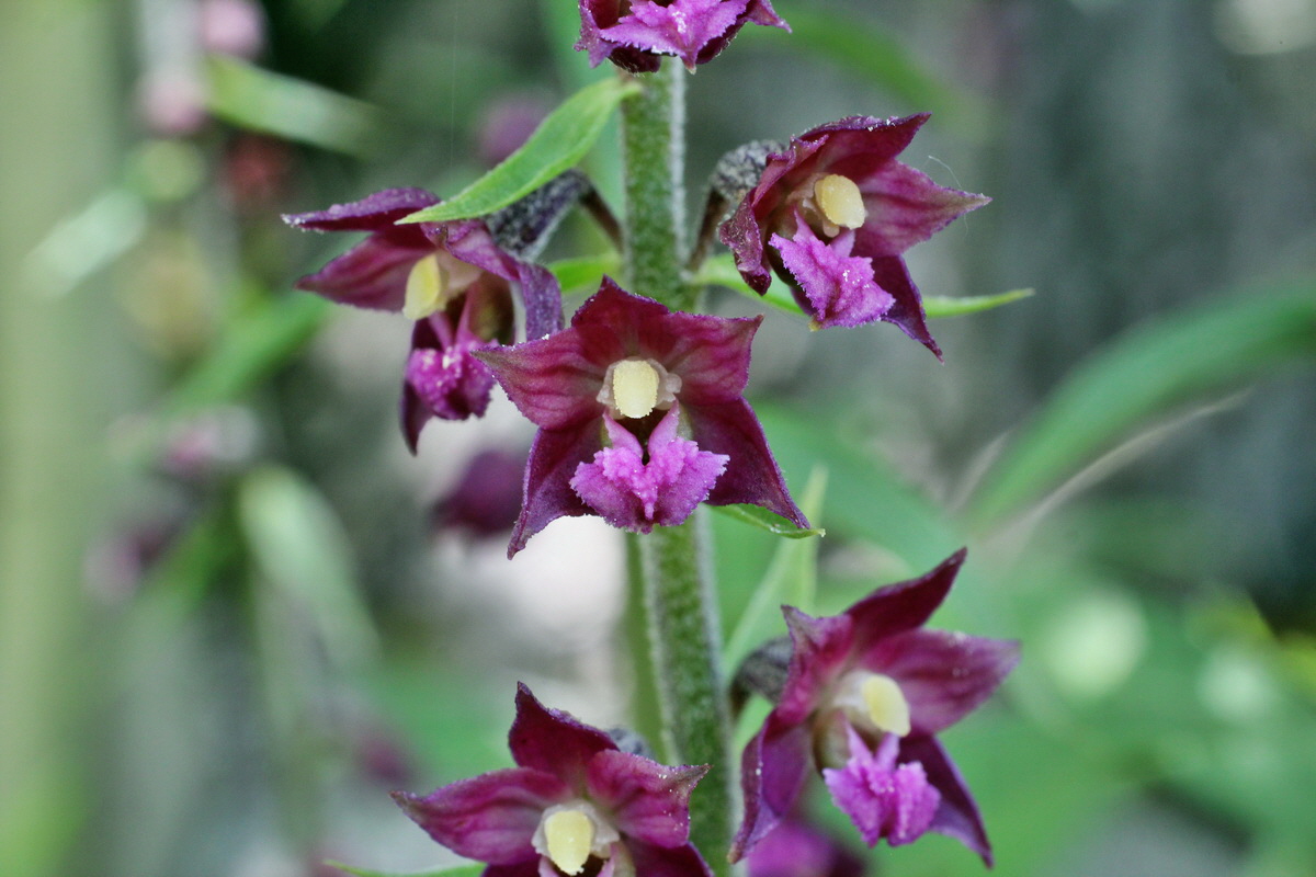 2014_05_30_00044396p_Bildgr��e �ndern