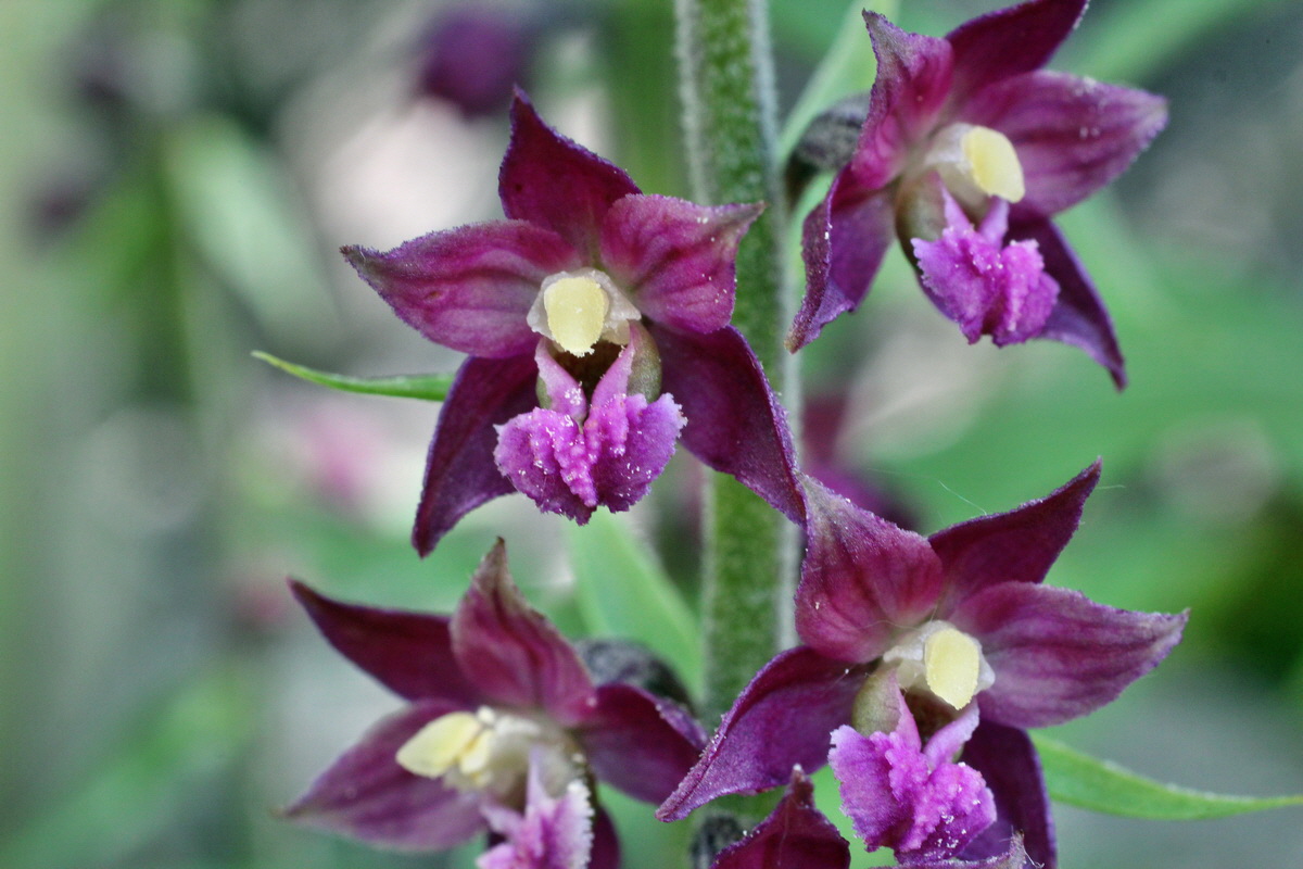 2014_05_30_00044411p_Bildgr��e �ndern