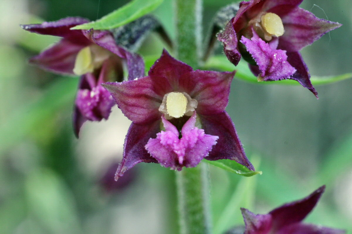 2014_05_30_00044415p_Bildgr��e �ndern