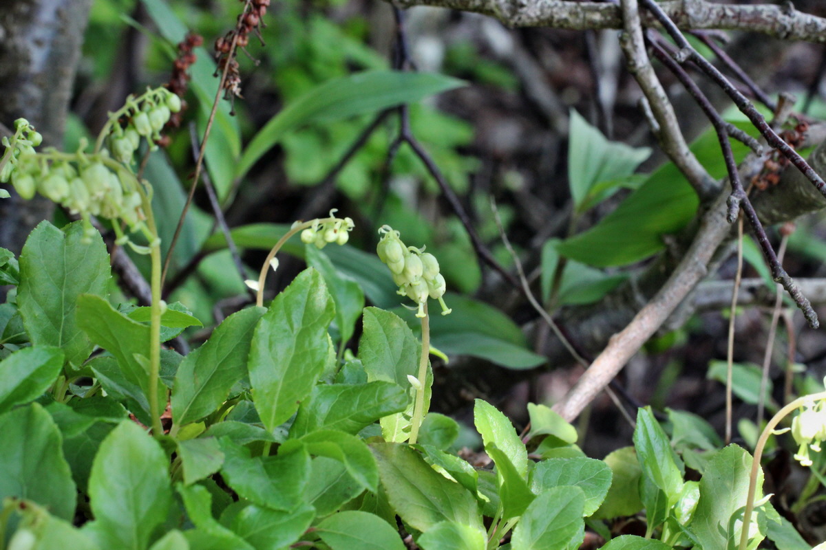 2014_05_30_00044418p_Bildgr��e �ndern