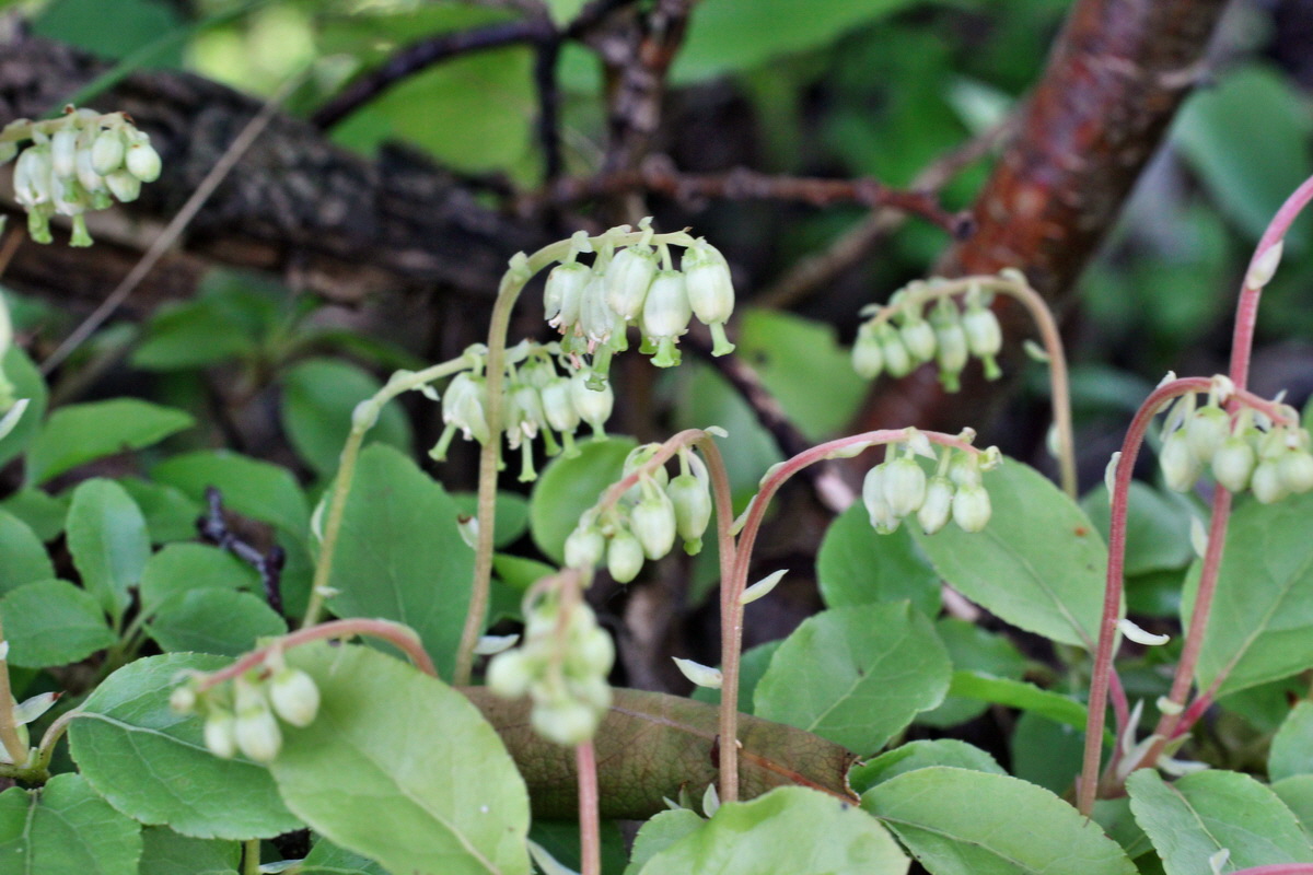 2014_05_30_00044442p_Bildgr��e �ndern