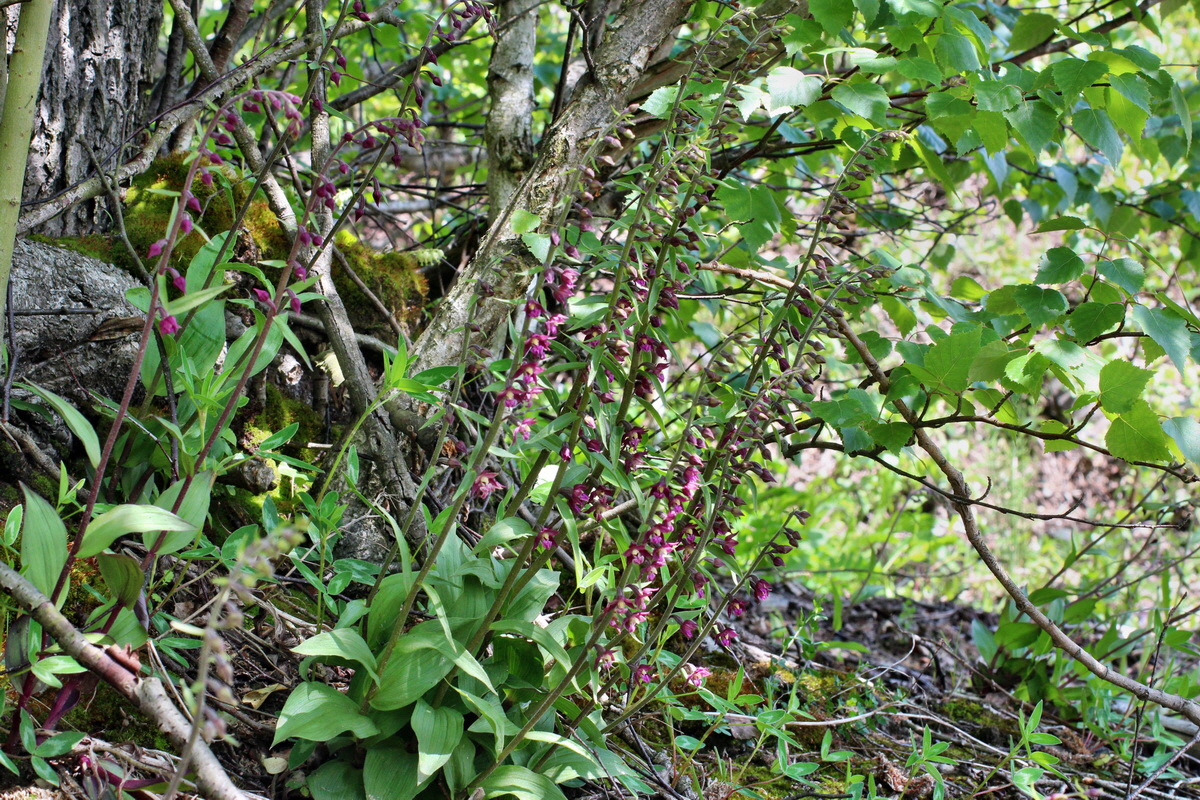 2014_05_30_00044453p_Bildgr��e �ndern