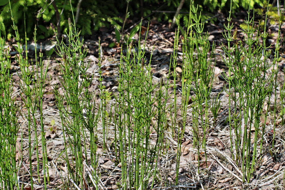 2014_05_30_00044455p_Bildgr��e �ndern