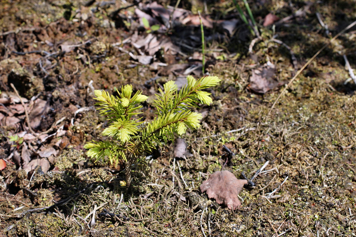 2014_05_30_00044465p_Bildgr��e �ndern