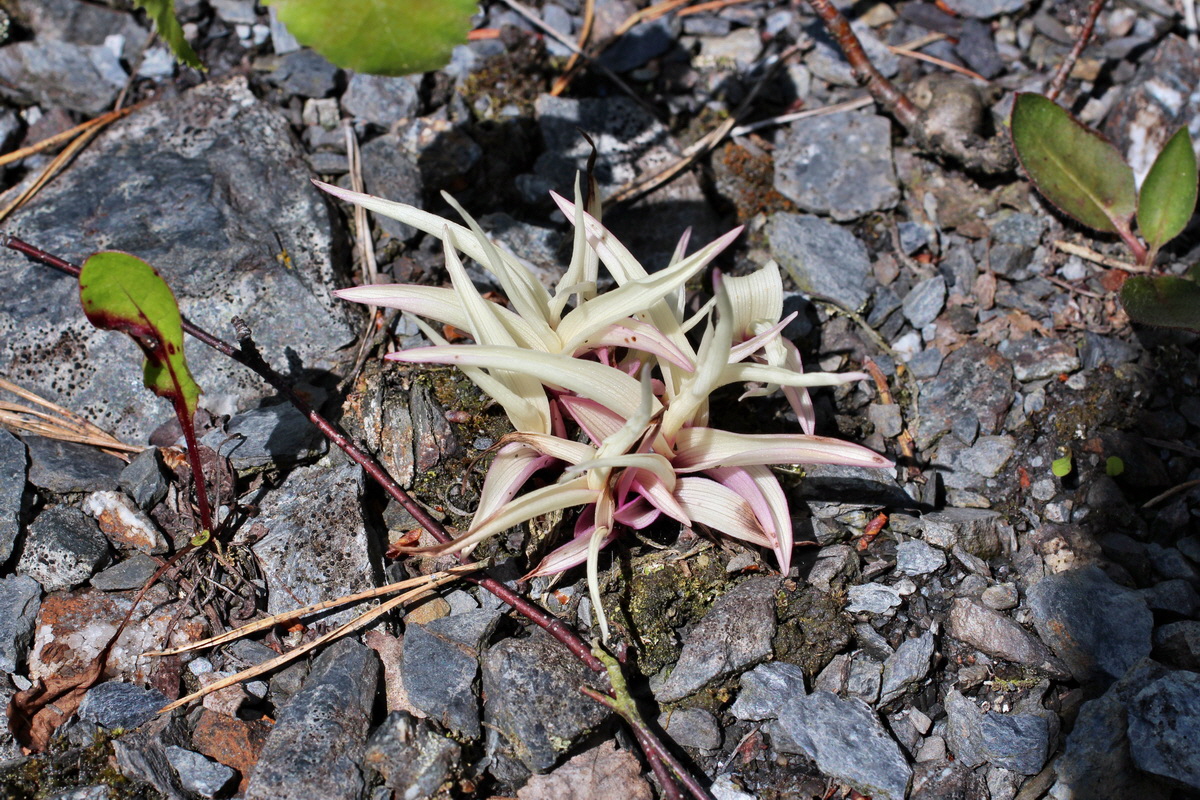 2014_05_30_00044471p_Bildgr��e �ndern