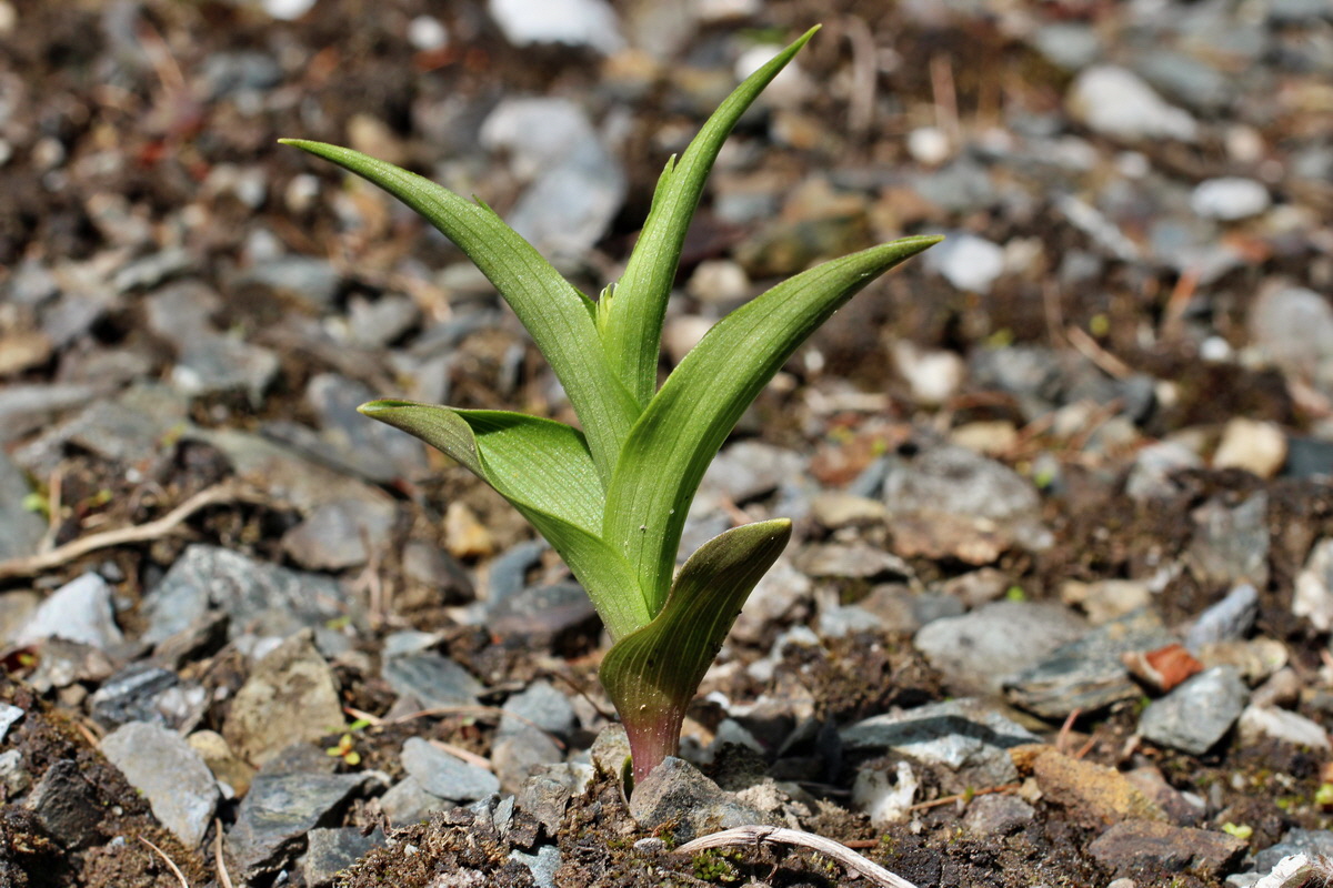 2014_05_30_00044479p_Bildgr��e �ndern