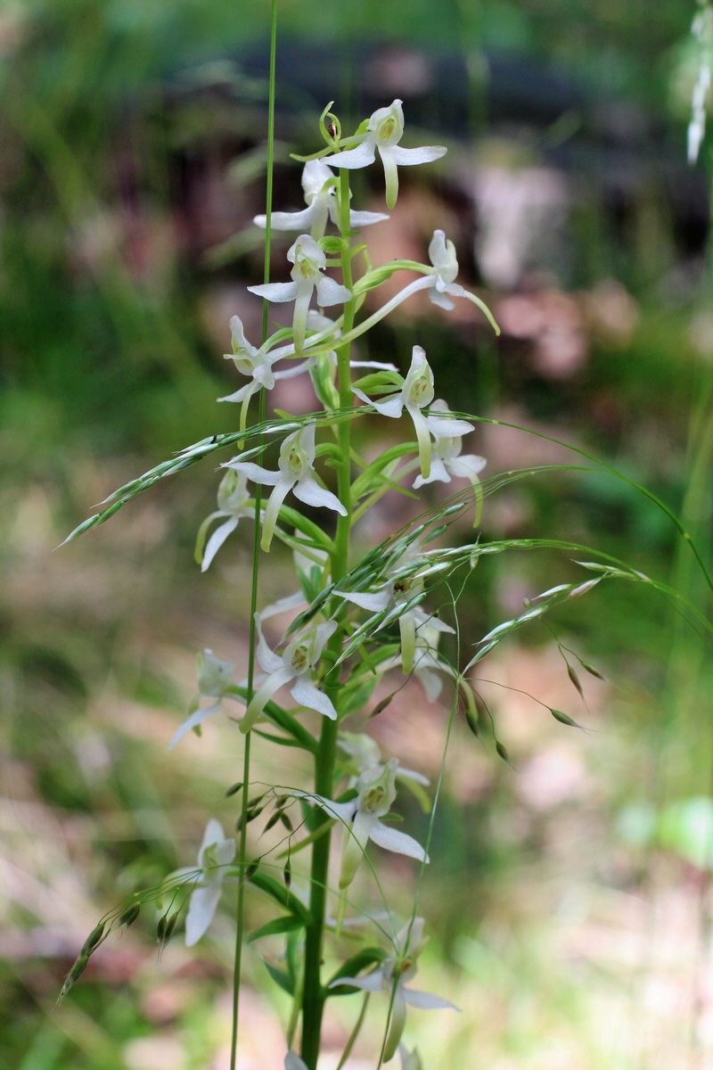 2014_05_30_00044512p_Bildgr��e �ndern