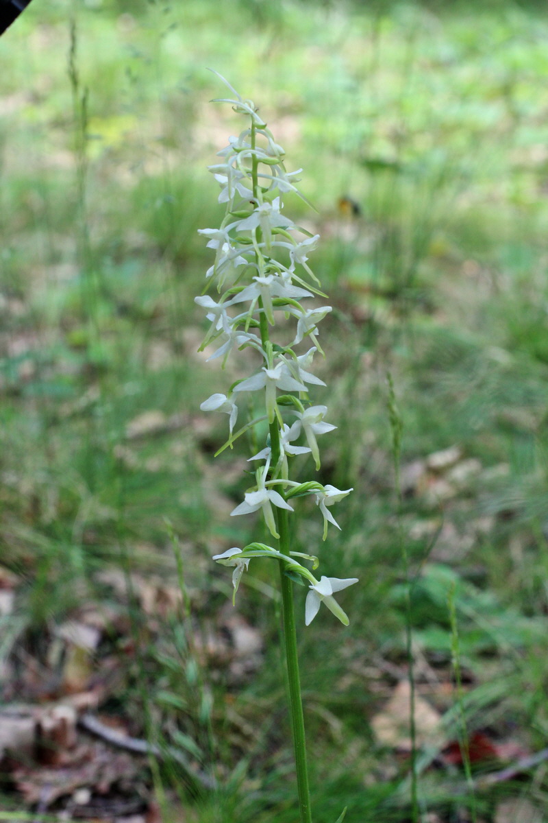 2014_05_30_00044527p_Bildgr��e �ndern