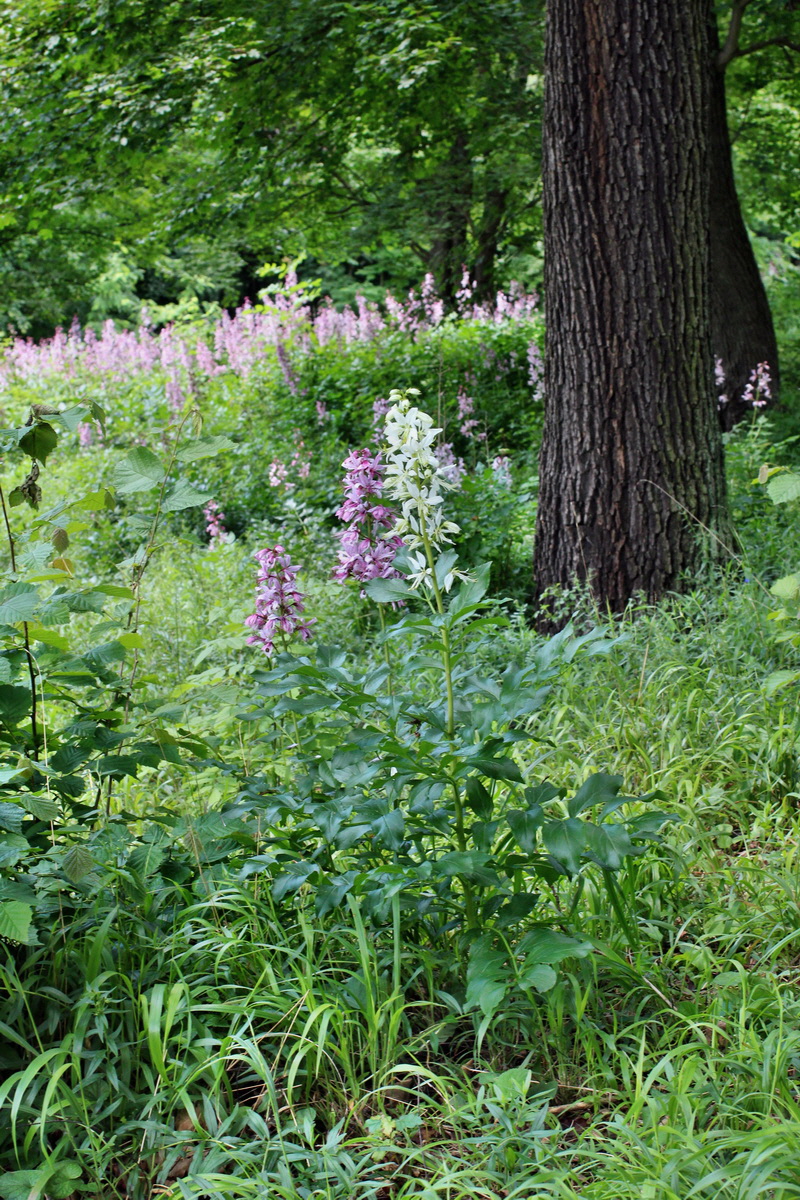 2014_05_30_00044528p_Bildgr��e �ndern