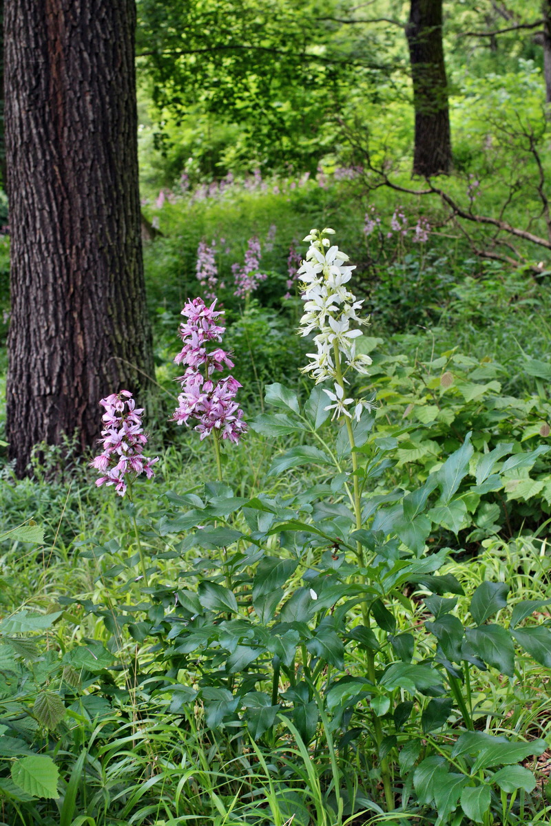 2014_05_30_00044531p_Bildgr��e �ndern