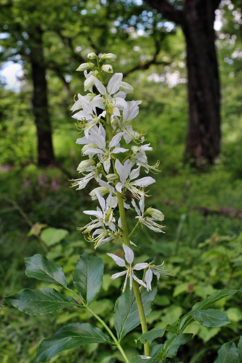 2014_05_30_00044532p_Bildgr��e �ndern