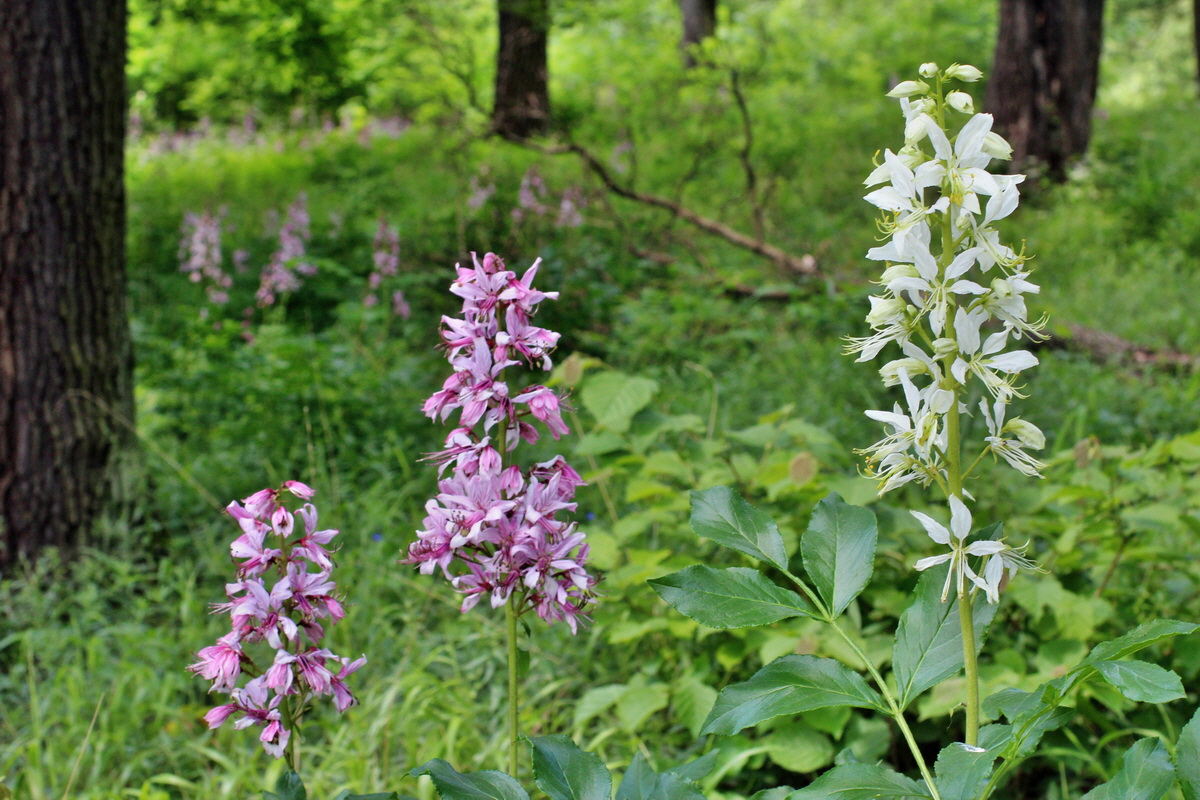 2014_05_30_00044536p_Bildgr��e �ndern