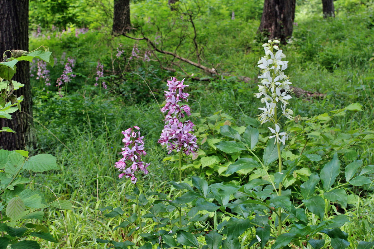 2014_05_30_00044539p_Bildgr��e �ndern