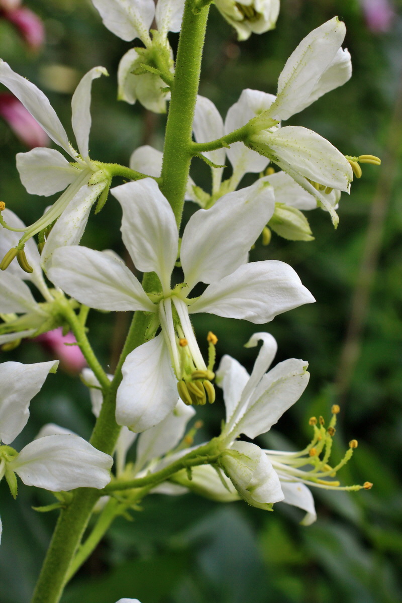 2014_05_30_00044554p_Bildgr��e �ndern