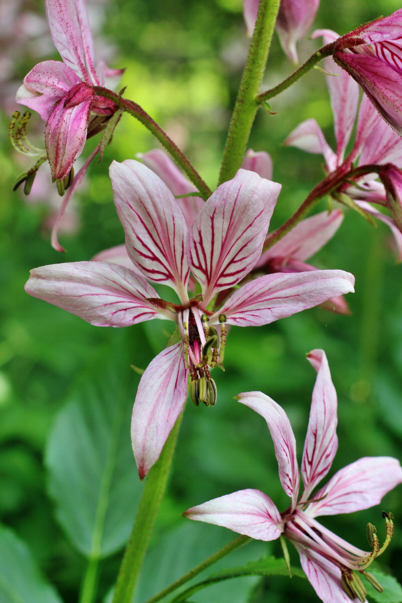 2014_05_30_00044556p_Bildgr��e �ndern