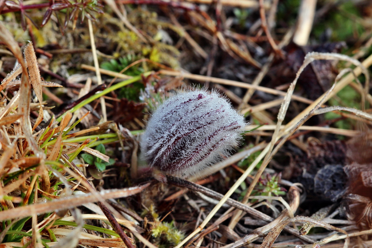 2014_03_03_00036500p_Bildgr��e �ndern