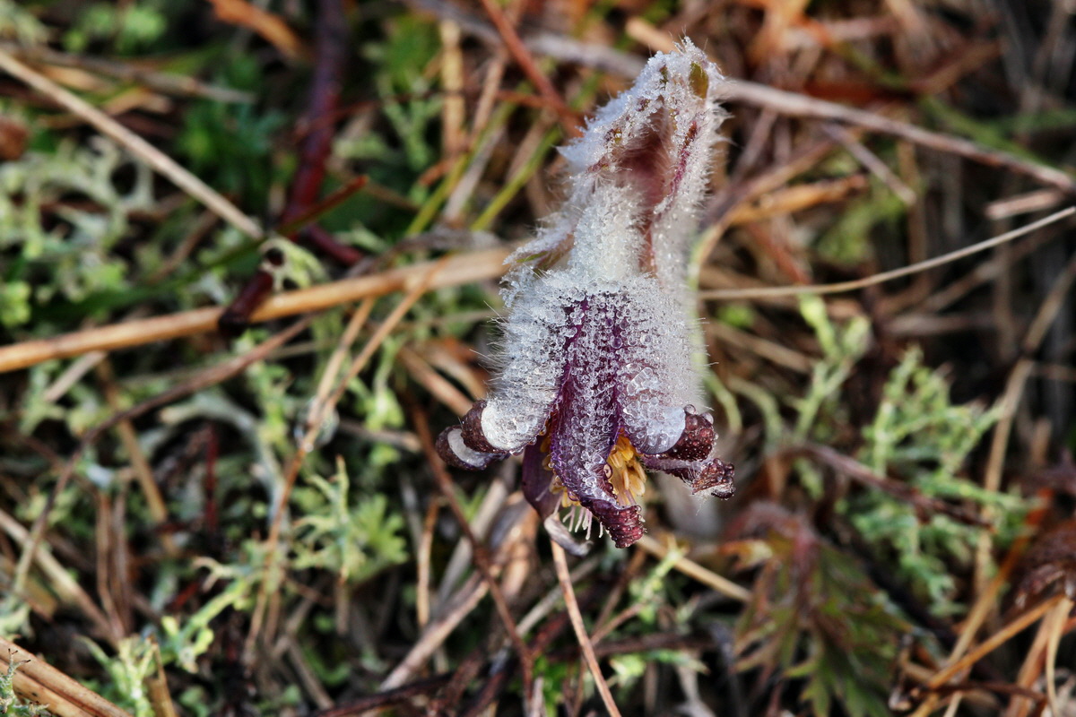 2014_03_03_00036502p_Bildgr��e �ndern