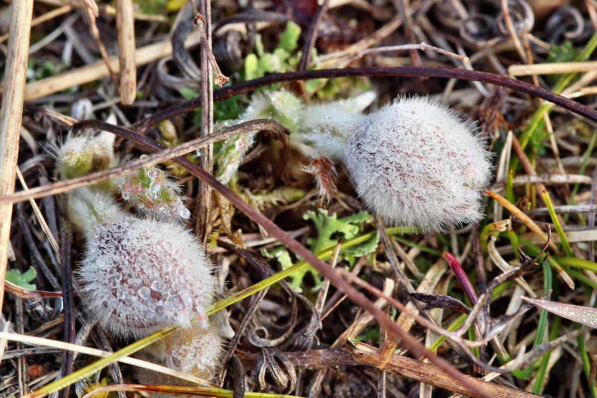 2014_03_03_00036506p_Bildgr��e �ndern