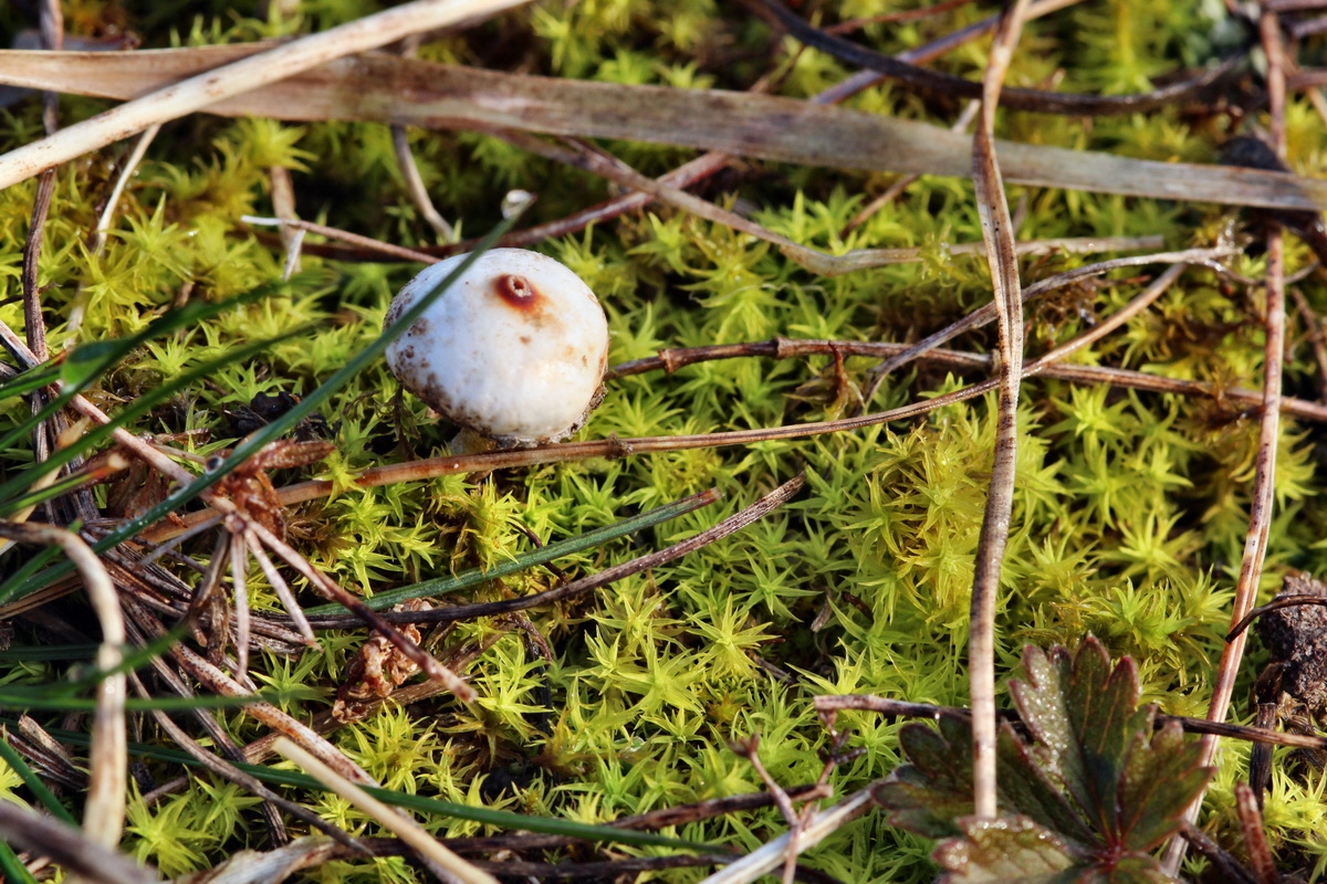 2014_03_03_00036509p_Bildgr��e �ndern