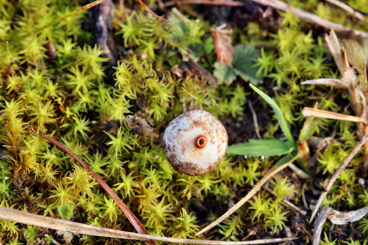 2014_03_03_00036511p_Bildgr��e �ndern