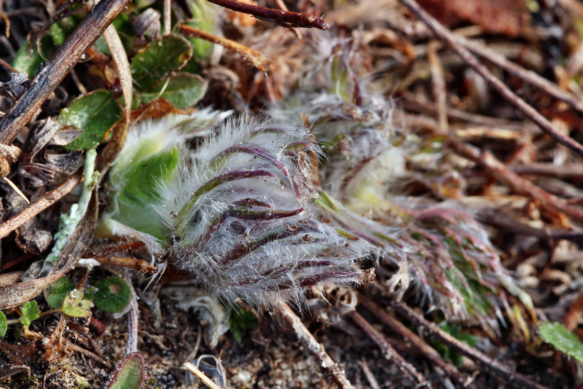 2014_03_03_00036522p_Bildgr��e �ndern