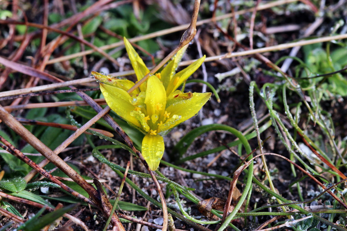 2014_03_03_00036527p_Bildgr��e �ndern