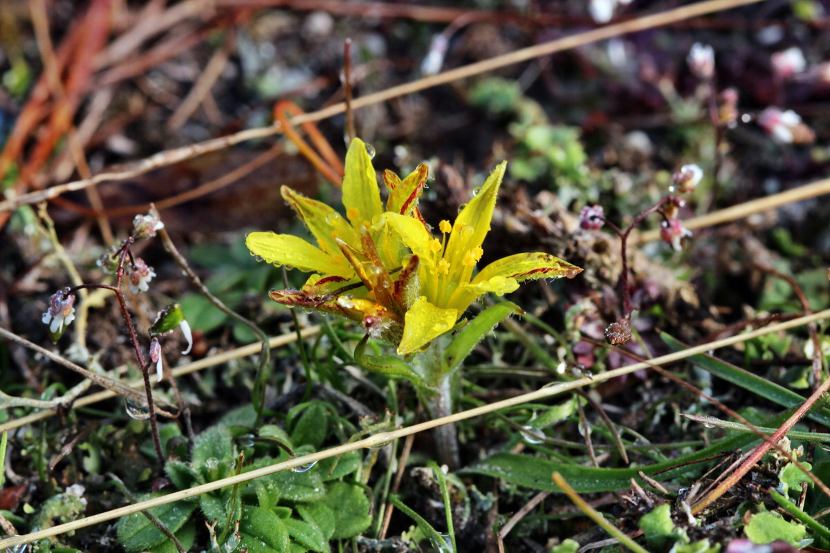 2014_03_03_00036531p_Bildgr��e �ndern