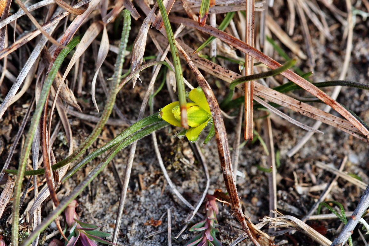 2014_03_03_00036533p_Bildgr��e �ndern