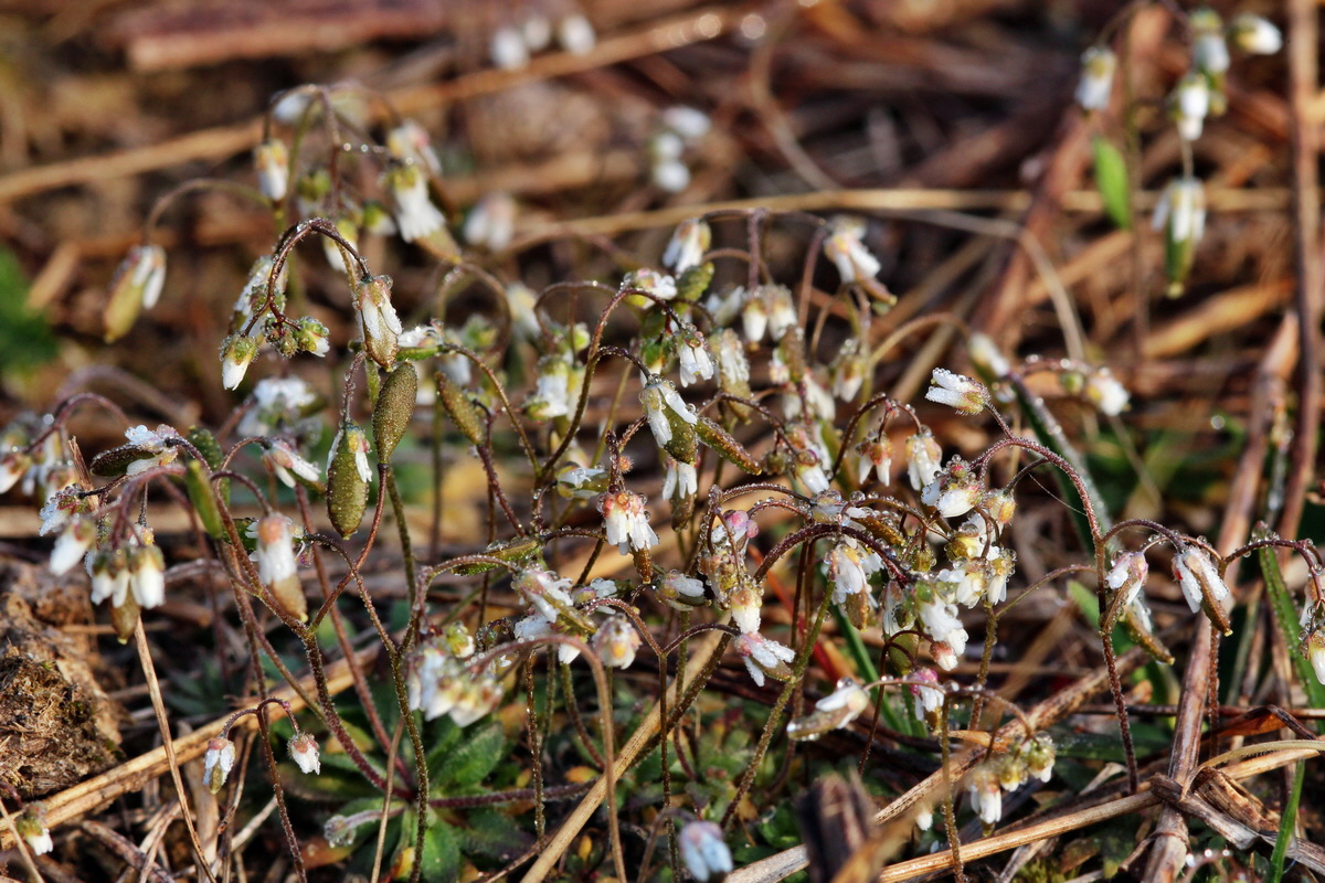 2014_03_03_00036541p_Bildgr��e �ndern