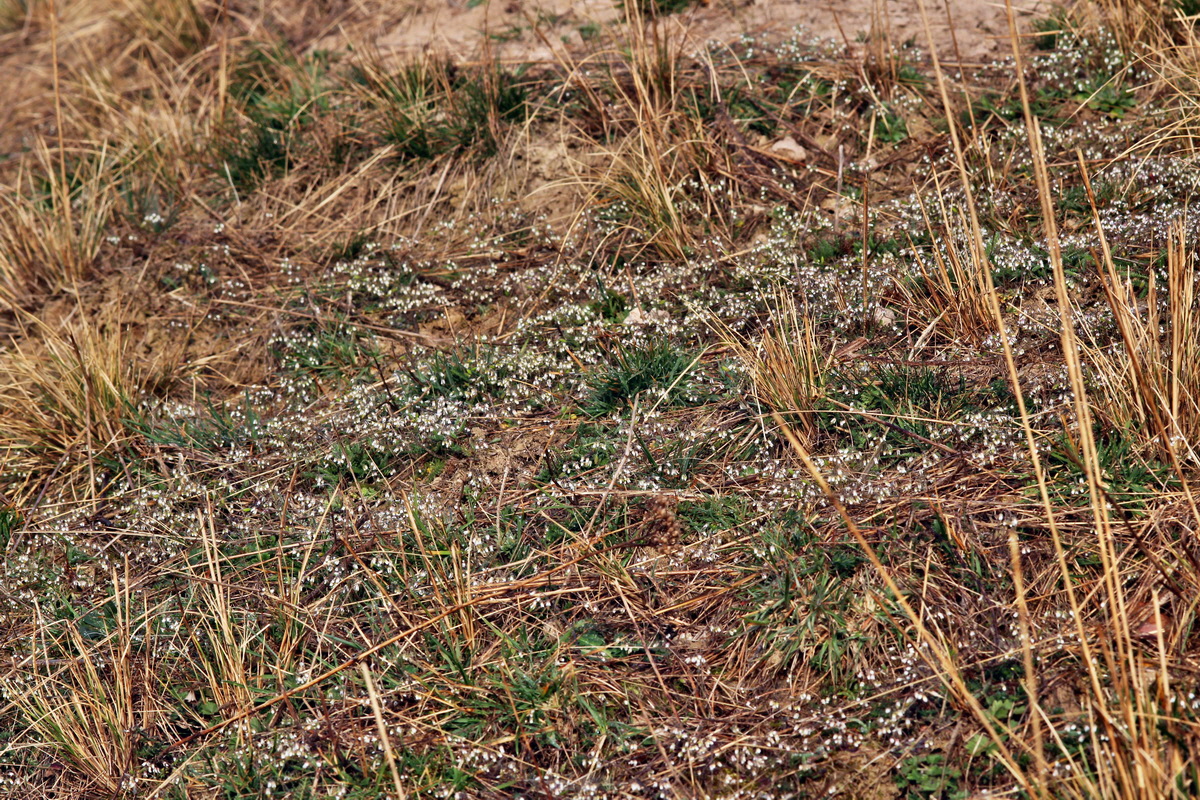 2014_03_03_00036546p_Bildgr��e �ndern