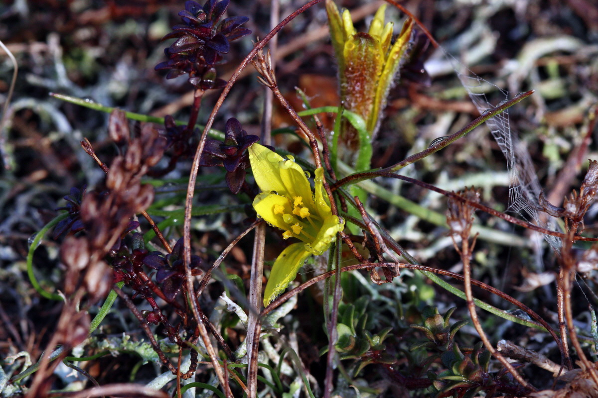 2014_03_03_00036548p_Bildgr��e �ndern