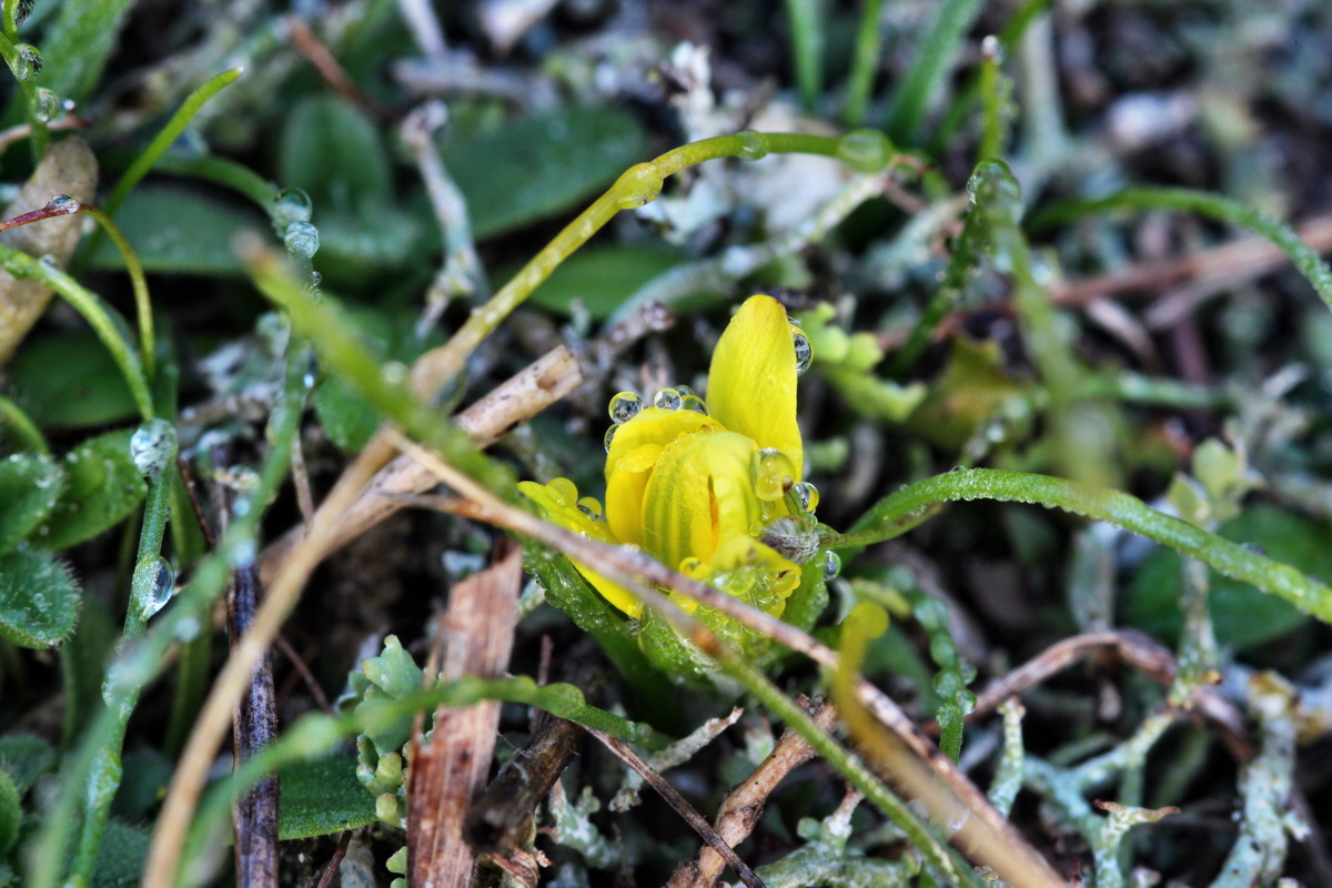 2014_03_03_00036550p_Bildgr��e �ndern