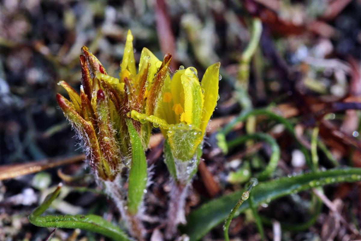 2014_03_03_00036554p_Bildgr��e �ndern