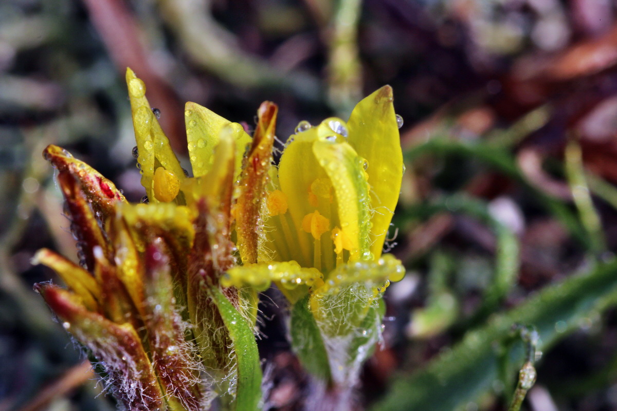 2014_03_03_00036559p_Bildgr��e �ndern