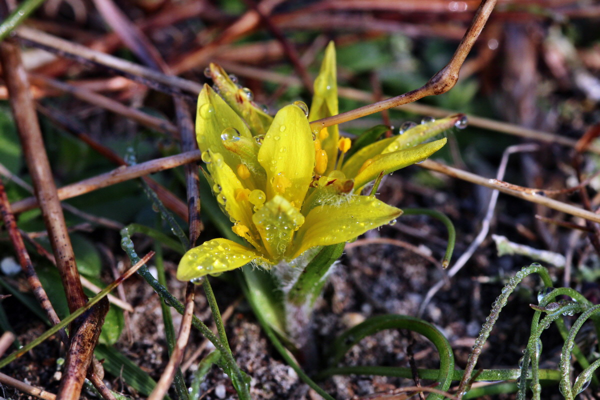 2014_03_03_00036563p_Bildgr��e �ndern