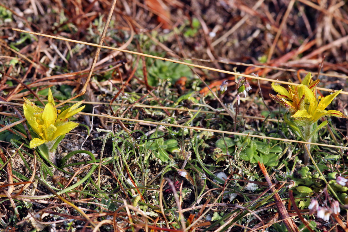 2014_03_03_00036565p_Bildgr��e �ndern