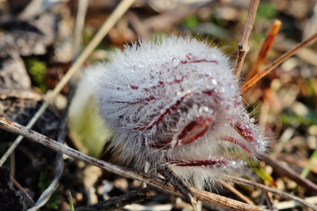 2014_03_03_00036575p_Bildgr��e �ndern