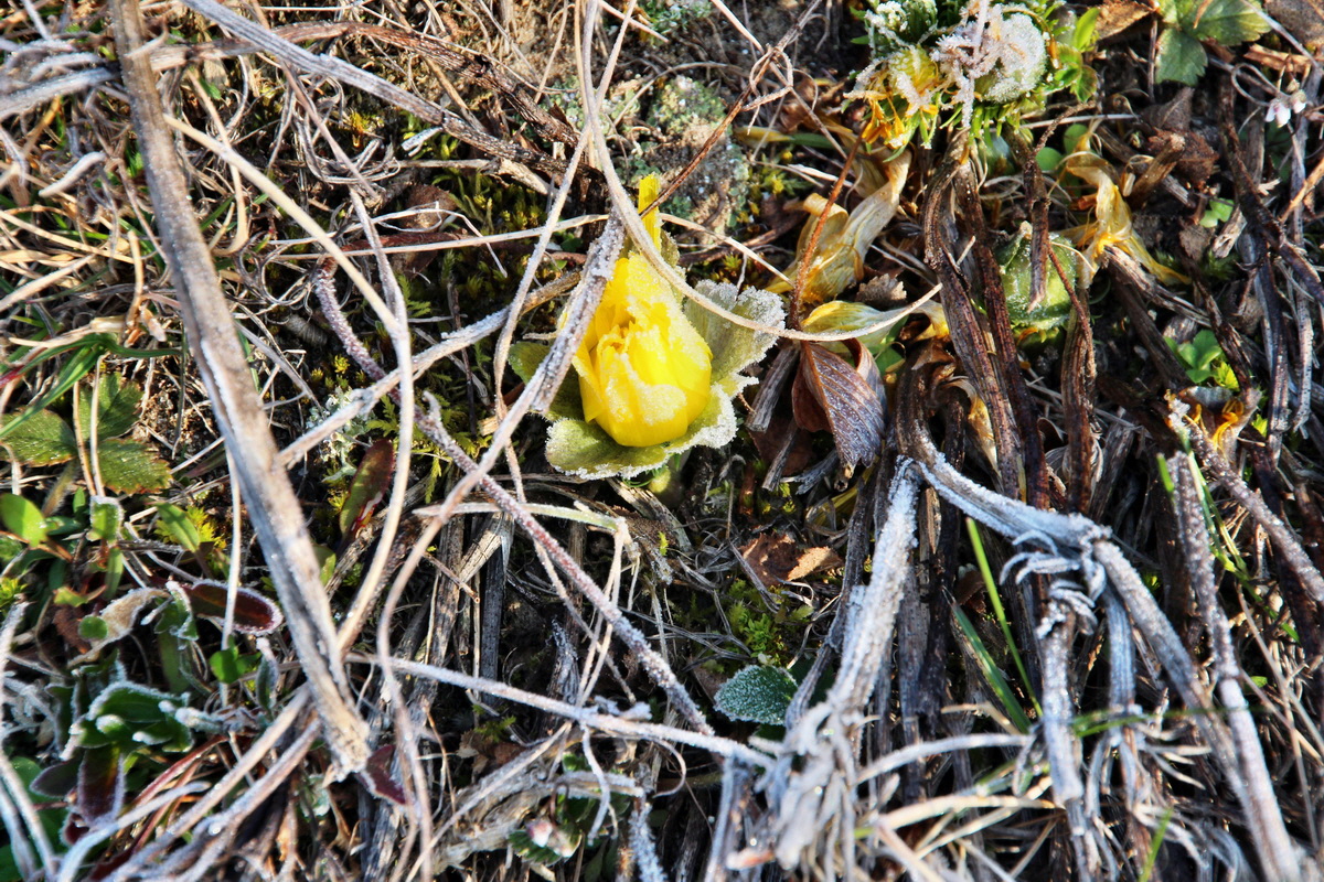 2014_03_07_00036578p_Bildgr��e �ndern